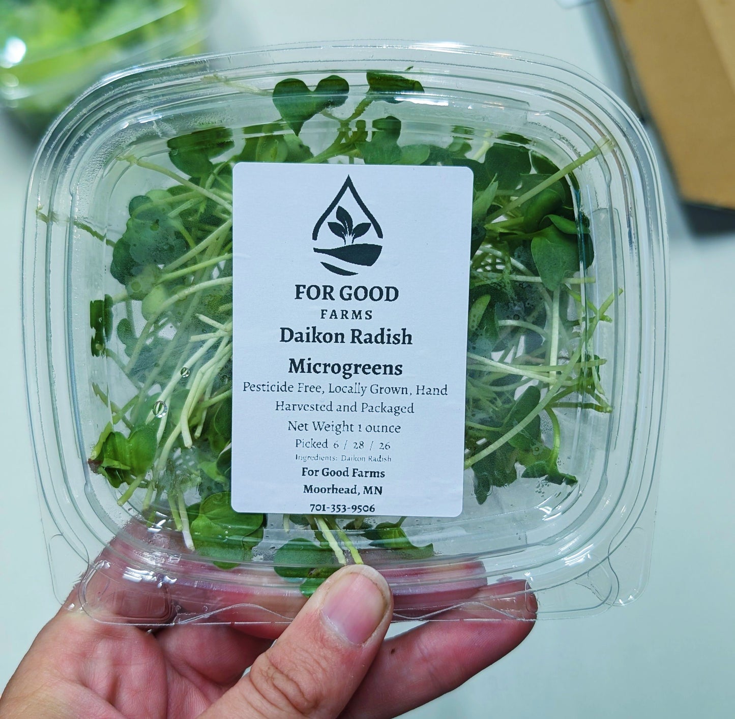Community Giveback - Daikon Radish Microgreens