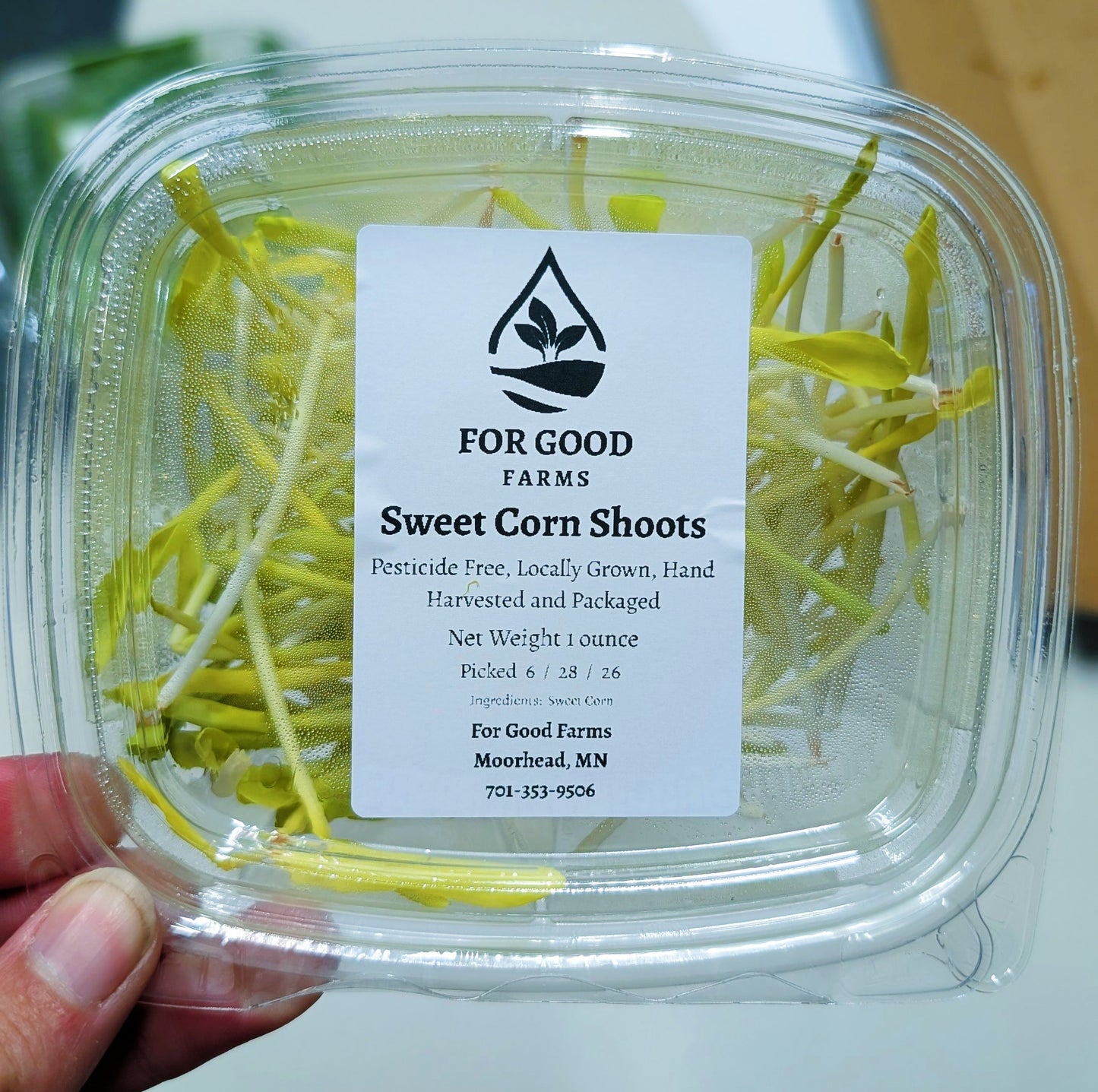 Community Giveback - Sweet Corn Shoots